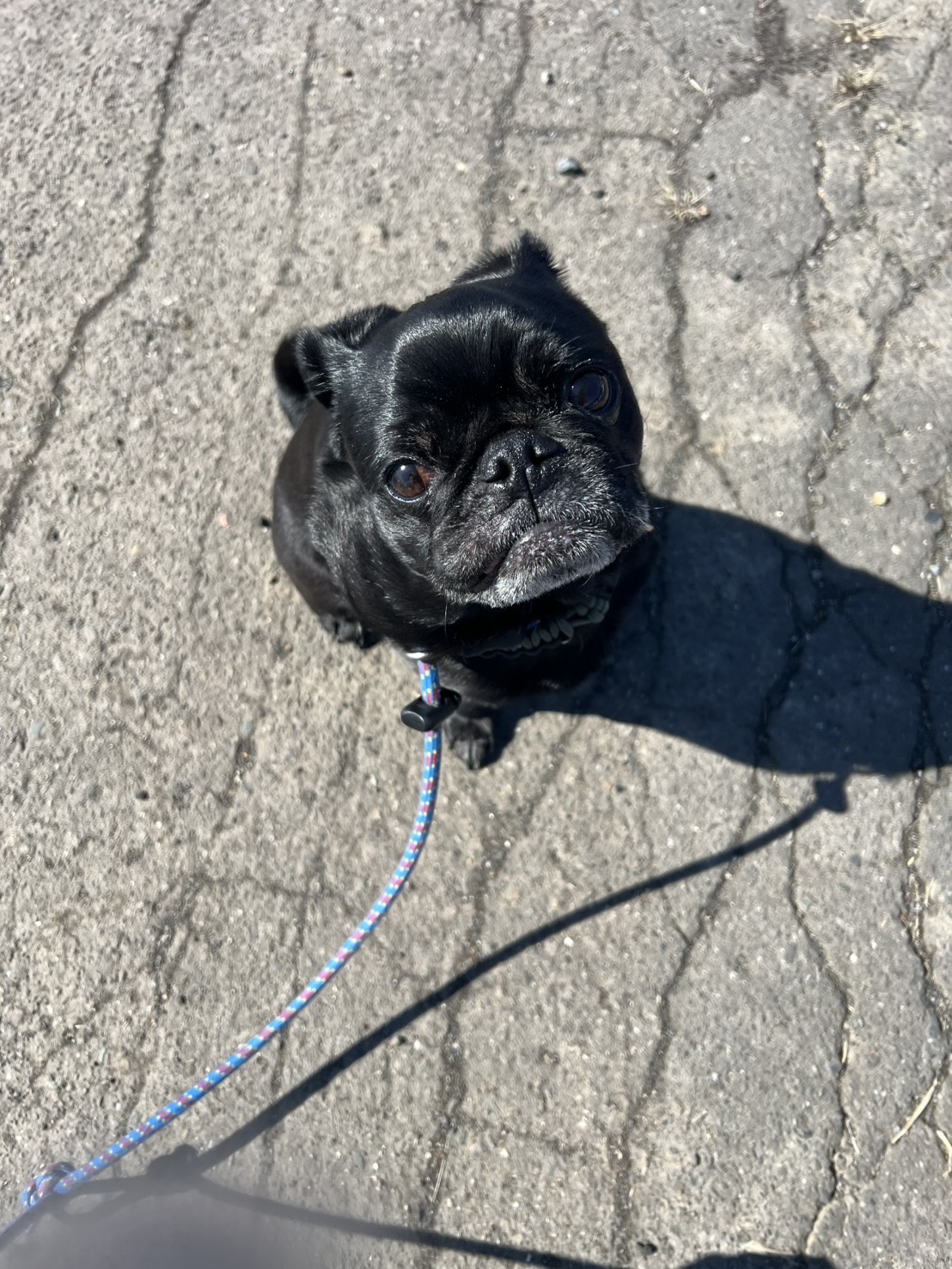 改善前の様子の写真